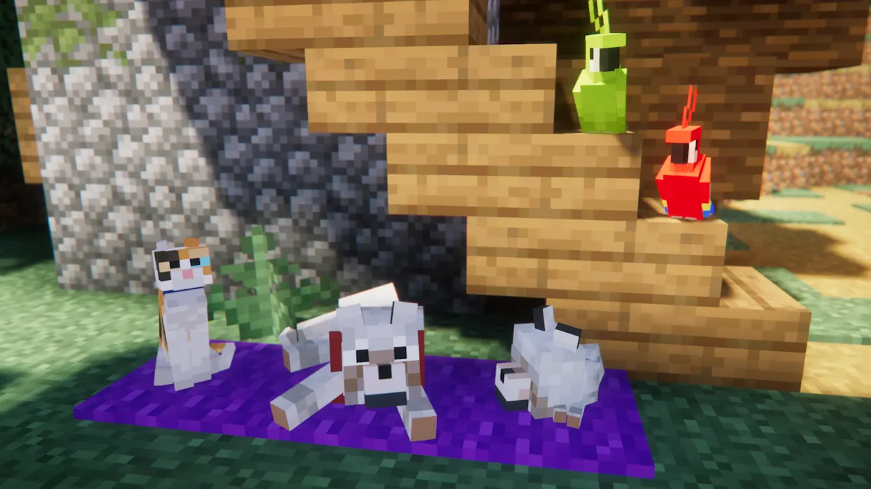Fresh Animations